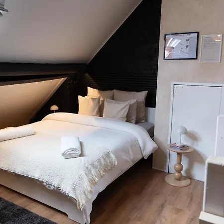 公寓 6 Lovely & Comfortable In The Heart Of 根特