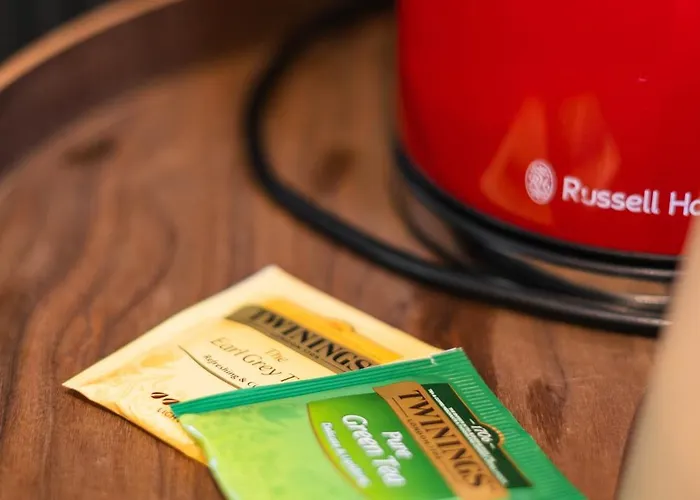 6 Lovely & Comfortable In The Heart Of Ghent